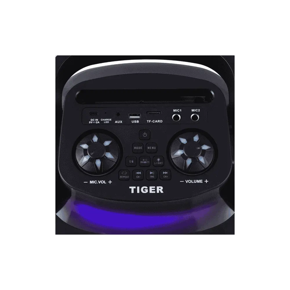 سماعة صب ووفر تايجر RGB-6200، مزدوجة 6 بوصة، بلوتوث، ريموت كنترول (1).webp