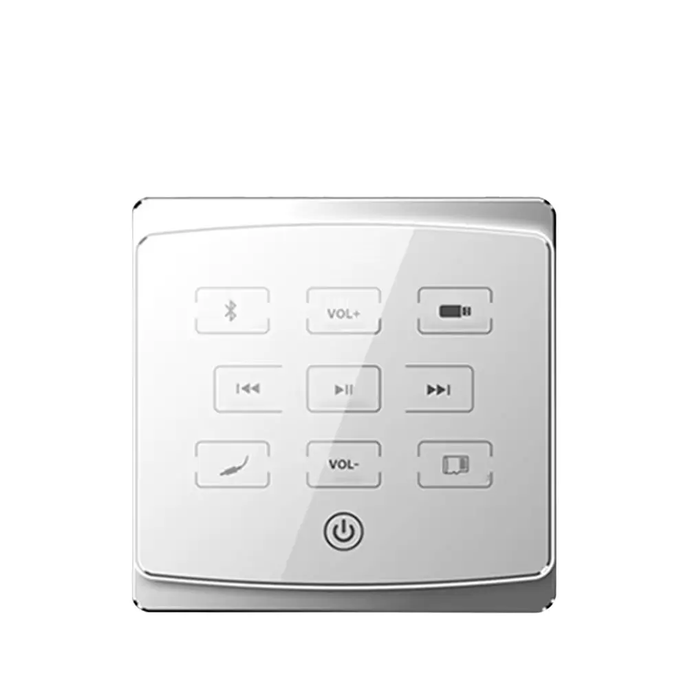 مكبر صوت حائطي ماستر تيم MT-BA-425D-W، قدرة 100 وات